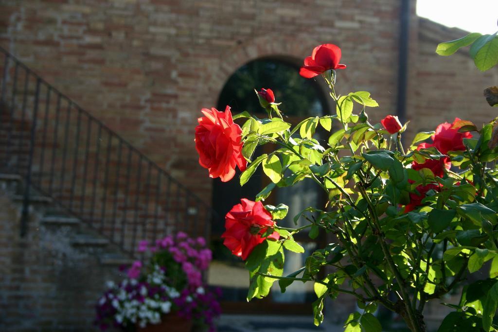 Villa Fattoria Armena Buonconvento Exterior foto