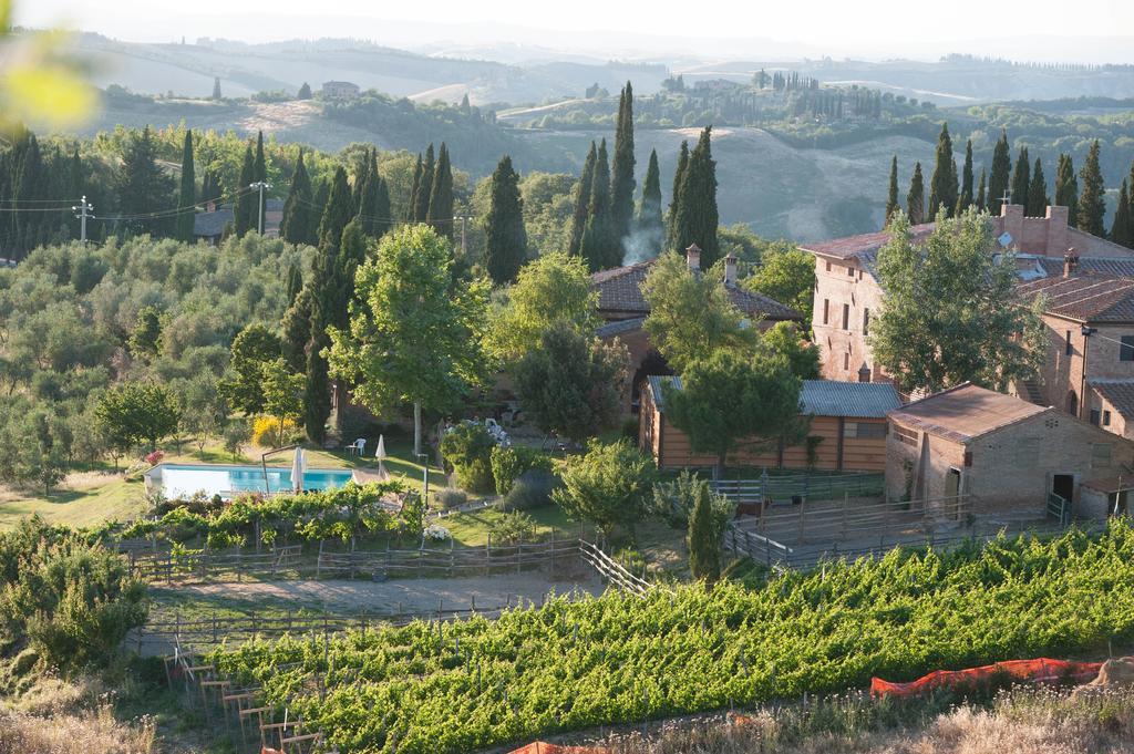 Villa Fattoria Armena Buonconvento Exterior foto